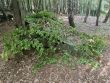 Prápor podpory velenia na intenzívnom výcviku